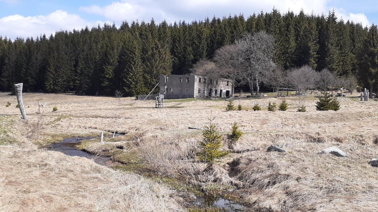 Radost * Kovarska